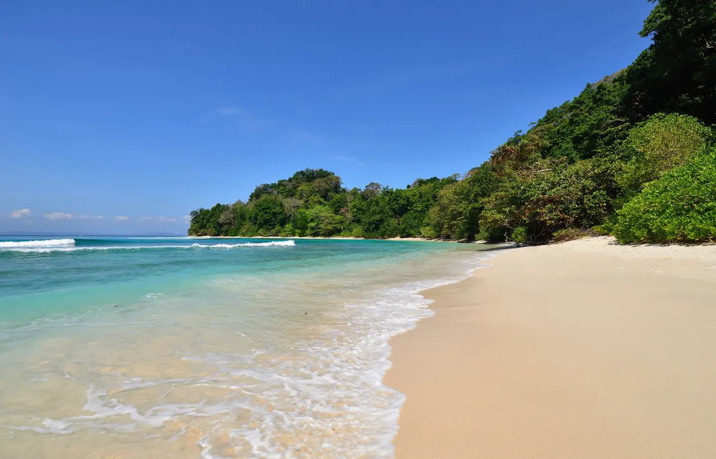 Romantic white sand beach in Havelock Island for honeymoon couples from Chennai