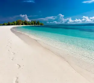 Andaman Tropical Retreat